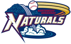 Chiropractic Fayetteville AR Northwest Arkansas Naturals